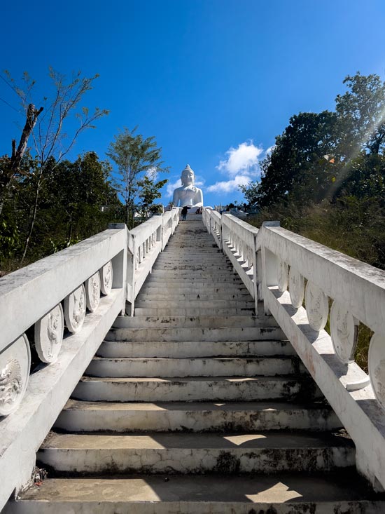 Los más de 300 escalones con el el Big Buda de fondo