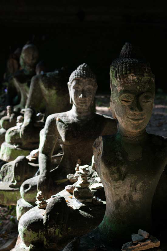 Pequeñas figuras de buda alineadas y repartidas por los jardines de Wat Umong, uno de los templos más curiosos que ver en Chiang Mai