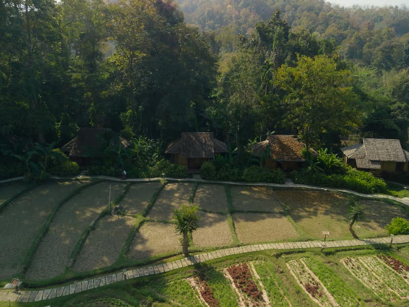 Bungalows con vistas a los arrozales en Fern Resort, una de las mejores opciones donde alojarse en Mae Hong Son