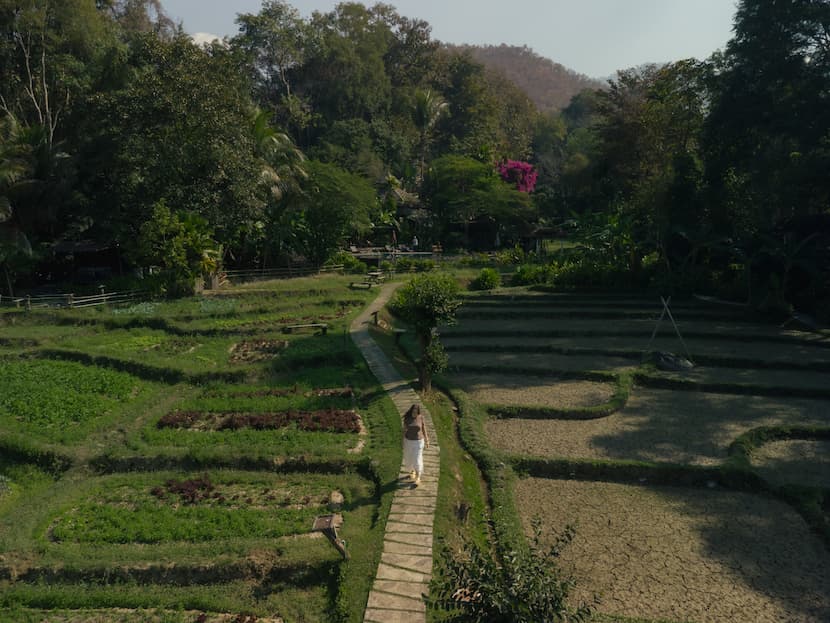 Inma paseando por los arrozales, ideales para relajarse y alojarse en Mae Hong Son